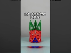 Magnetic Tile Assembly Dengan Bentuk Serbaguna Untuk Hewan Dan Tanaman Rumah Nanas