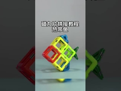 Pengumpulan ubin magnetik dengan bentuk serbaguna untuk hewan dan tumbuhan Ikan tropis