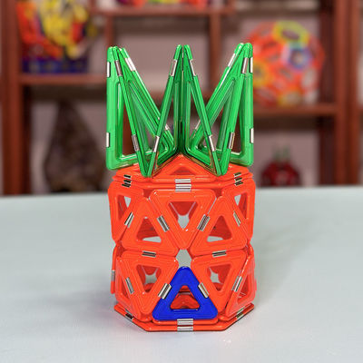Magnetic Tile Assembly Dengan Bentuk Serbaguna Untuk Hewan Dan Tanaman Rumah Nanas